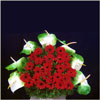 Majestic Tones - Click here to View more details about this Product